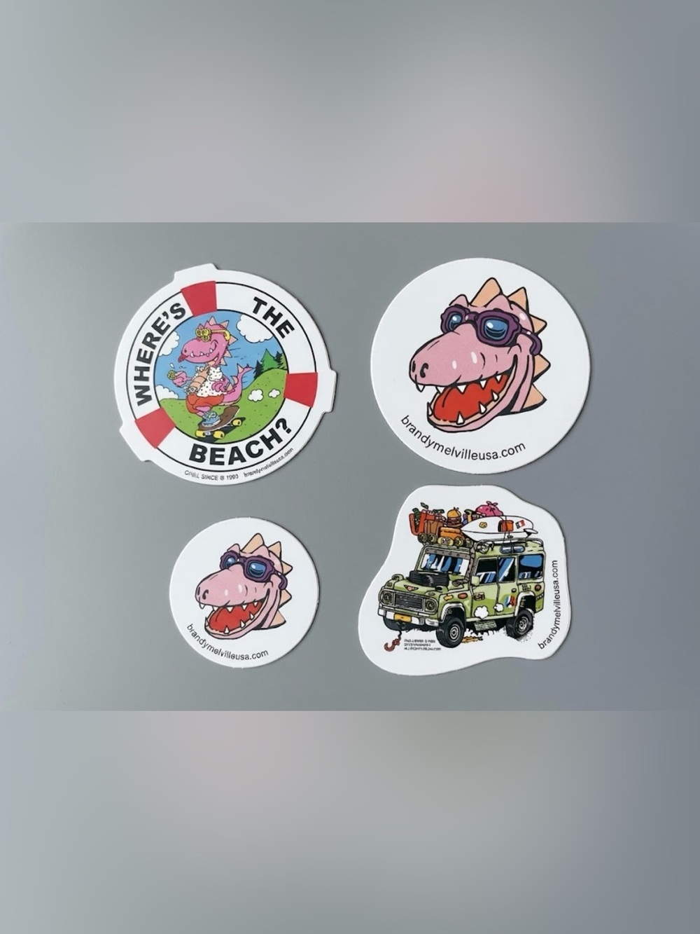 BRANDY MELVILLE STICKERS